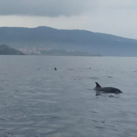 Bermeoko Etxie La Casa De Ebi-795 *