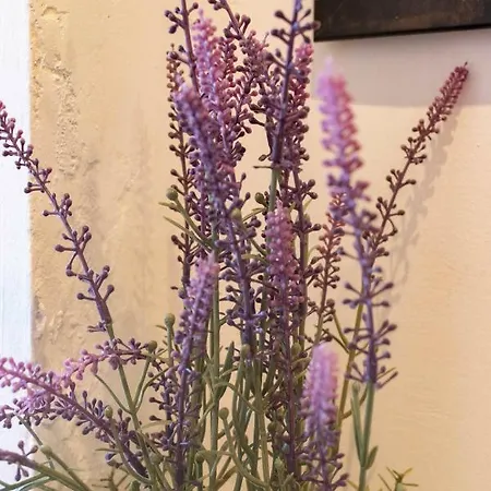 Bermeoko Etxie La Casa De Ebi-795 Bermeo