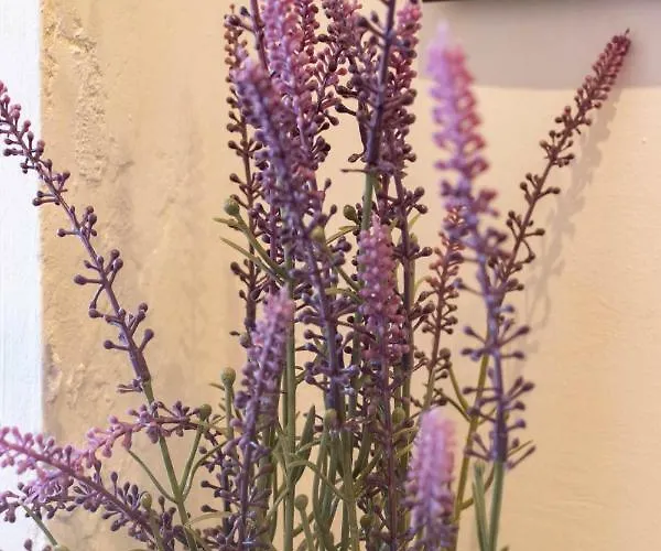 Bermeoko Etxie La Casa De Ebi-795 Bermeo