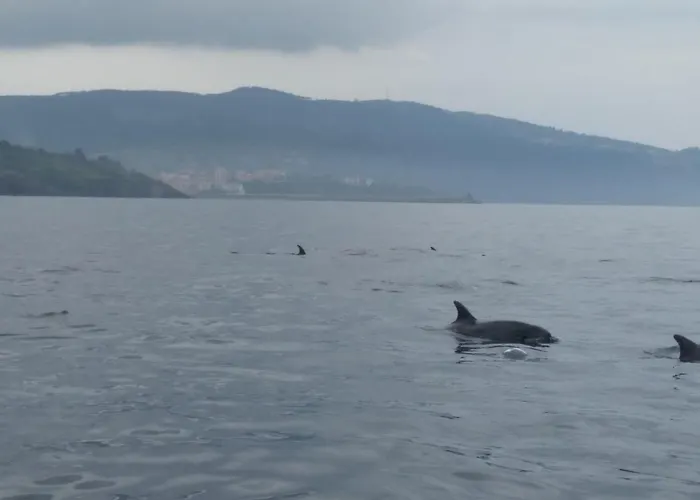 Bermeoko Etxie La Casa De Ebi-795 *